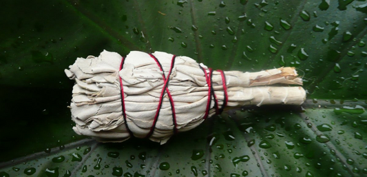 White Sage Smudge Stick Small