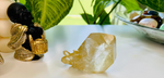 Golden Healer Lemurian Seed Quartz Cluster