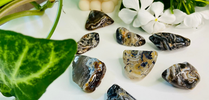 Agate Occo's