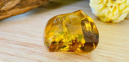 Polished Honey Amber (full of bugs) UV Reactive