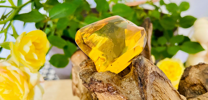 Polished Honey Amber (full of bugs) UV Reactive