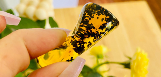 Polished Amber (full of bugs)