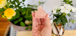 Rose Quartz Buddha Carving