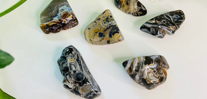 Agate Occo's