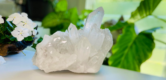 Lemurian Seed Clear Quartz Cluster