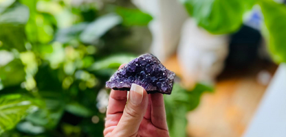 Amethyst Cluster
