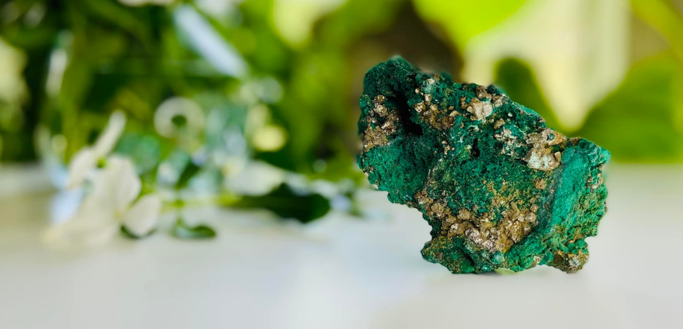 African Malachite