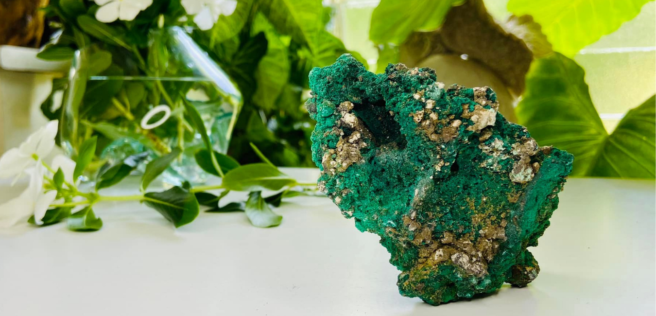 African Malachite