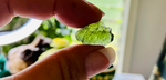 Moldavite