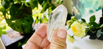 Lemurian Seed Clear Quartz Point