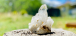 Lemurian Seed Quartz Tower