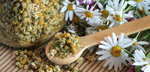 Chamomile Flowers Organic